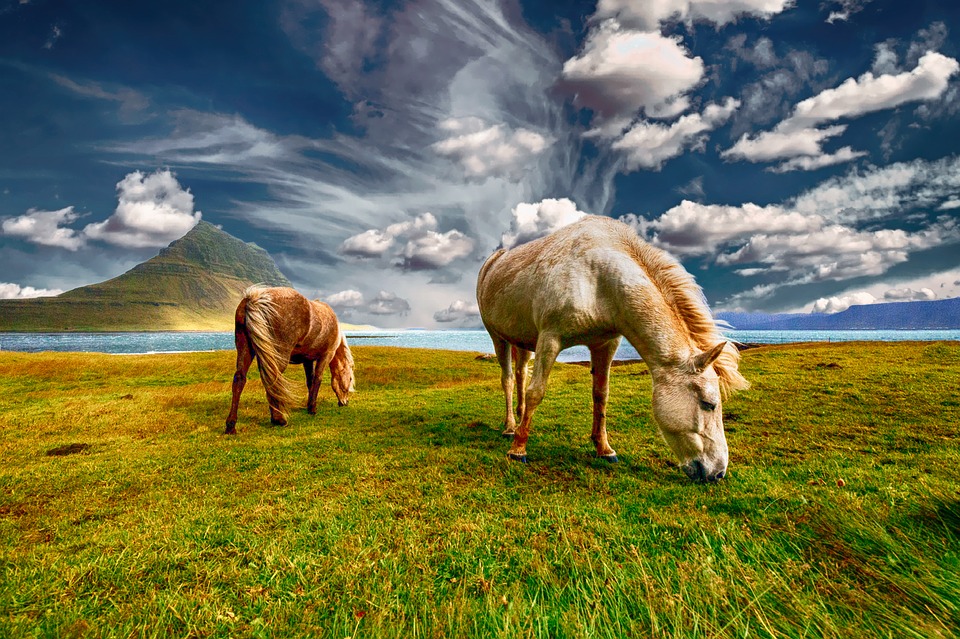 Voyage pour l’Islande